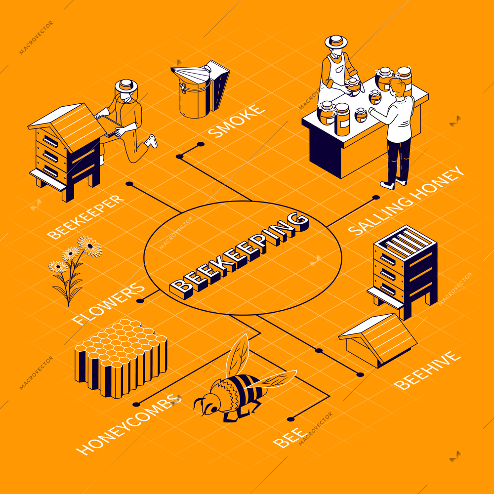 Beekeeping isometric flowchart composition with editable text captions and images of hives honeycombs flowers and people vector illustration