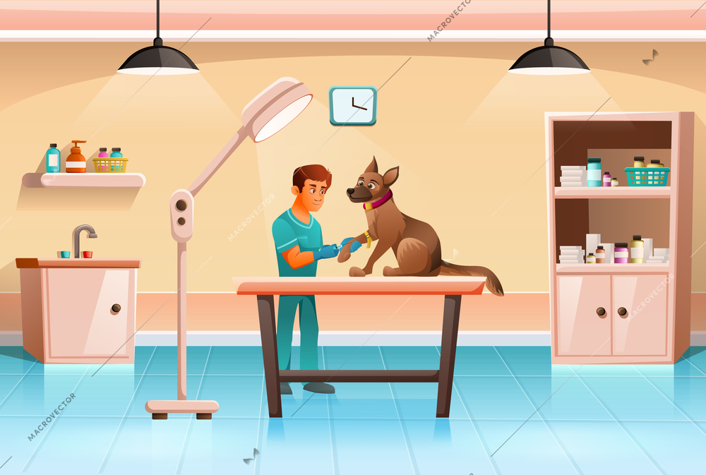 Veterinary clinic practice interior cartoon composition with veterinarian holding dogs patient paw under surgical light vector illustration