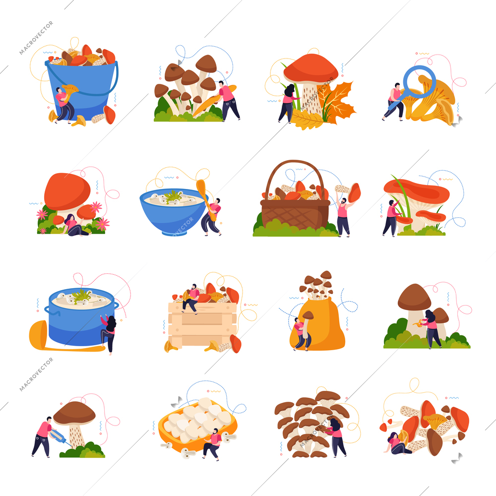 Mushrooms icons set with harvest symbols flat isolated vector illustration