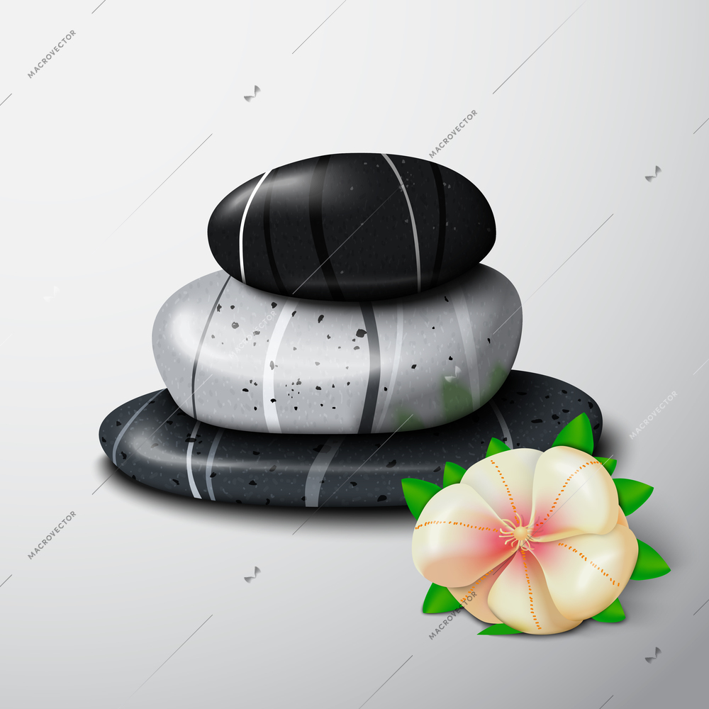 Spa stones with tropical flower still life isolated vector illustration