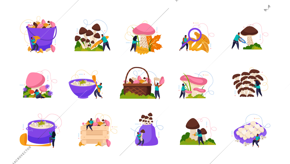 Mushrooms recolor set with harvest and cooking symbols flat isolated vector illustration