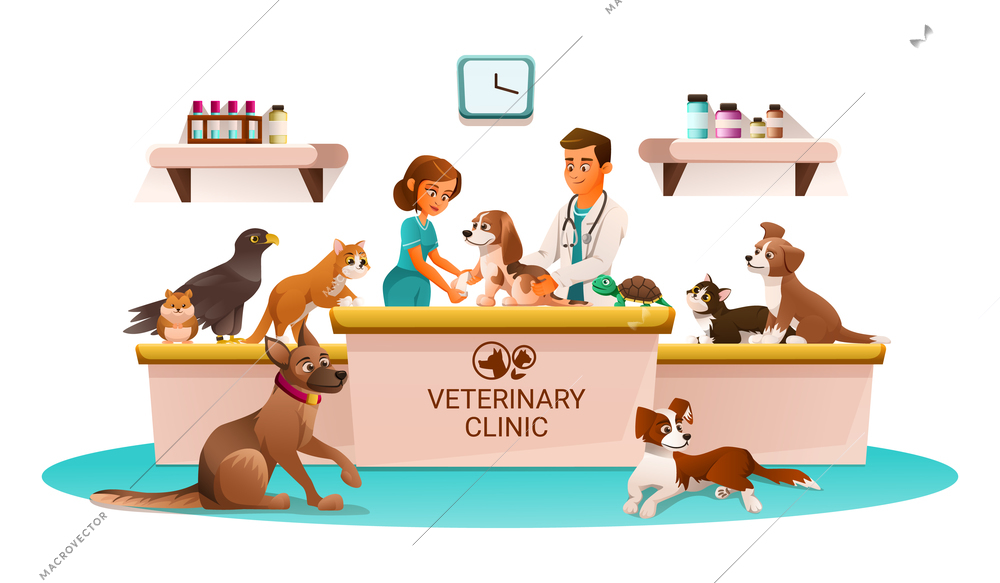 Veterinary clinic marketing flyer advertisement cartoon composition nurse and veterinarian with pets at reception desk vector illustration