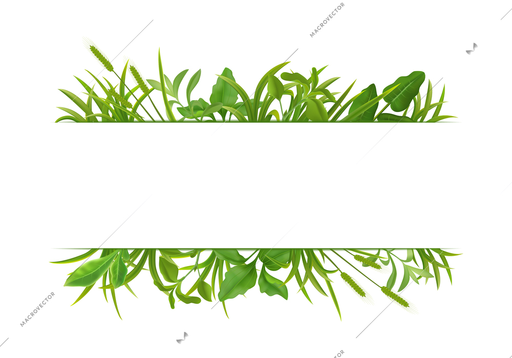 Green grass decorative realistic horizontal double border frame pattern on white with cereal plants leaves vector illustration