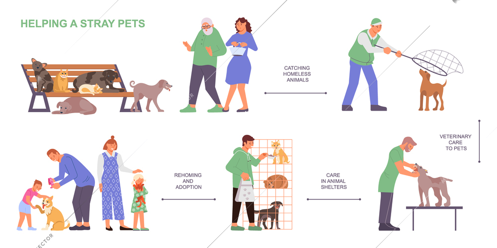 Veterinary clinic flowchart with flat images of catching homeless animals sheltering and adoption with human characters vector illustration