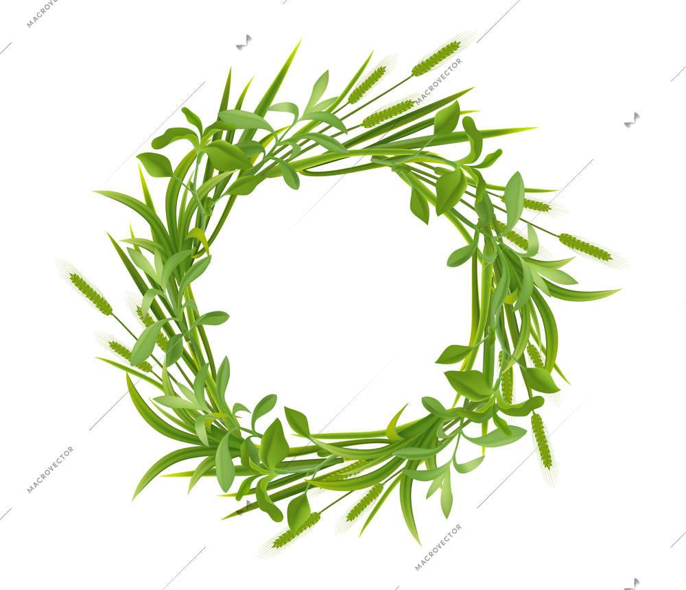 Grass young cereal plants spikes ears leaves natural green realistic round frame on white background vector illustration