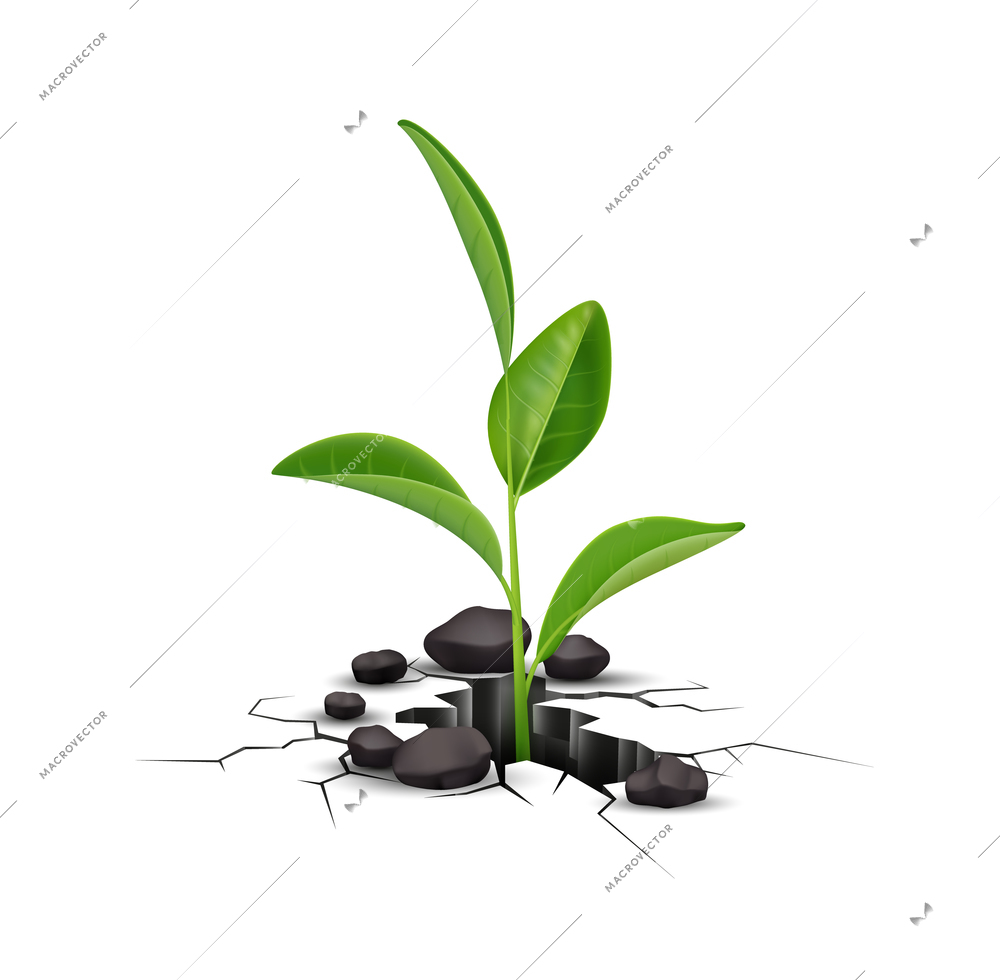 Plant ground cracks realistic composition with isolated image of green sprout growing from hole in ground vector illustration