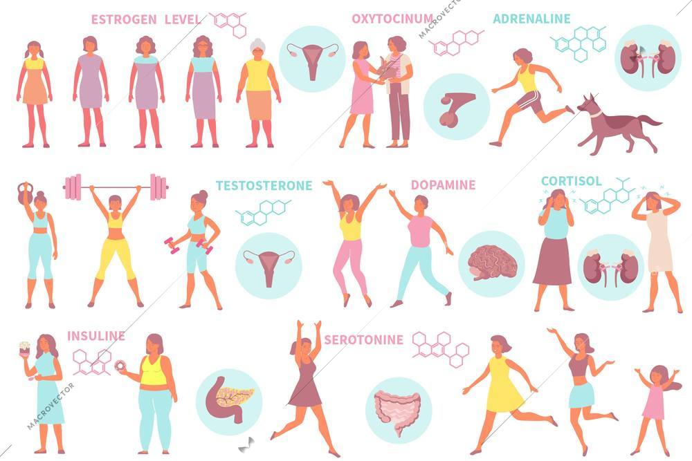 Hormones flat set of isolated icons with characters of women in various poses text and molecules vector illustration