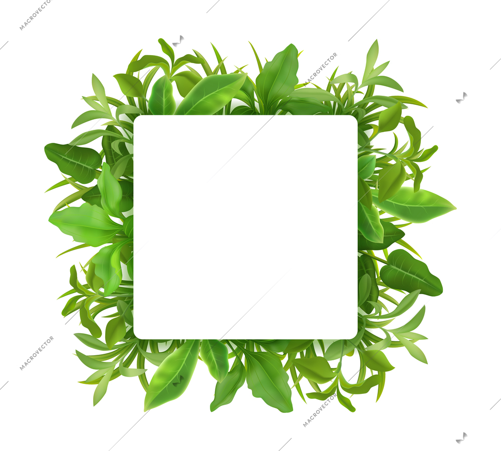 Grass herbs young plant seedlings leaves decorative realistic green square frame on white background vector illustration