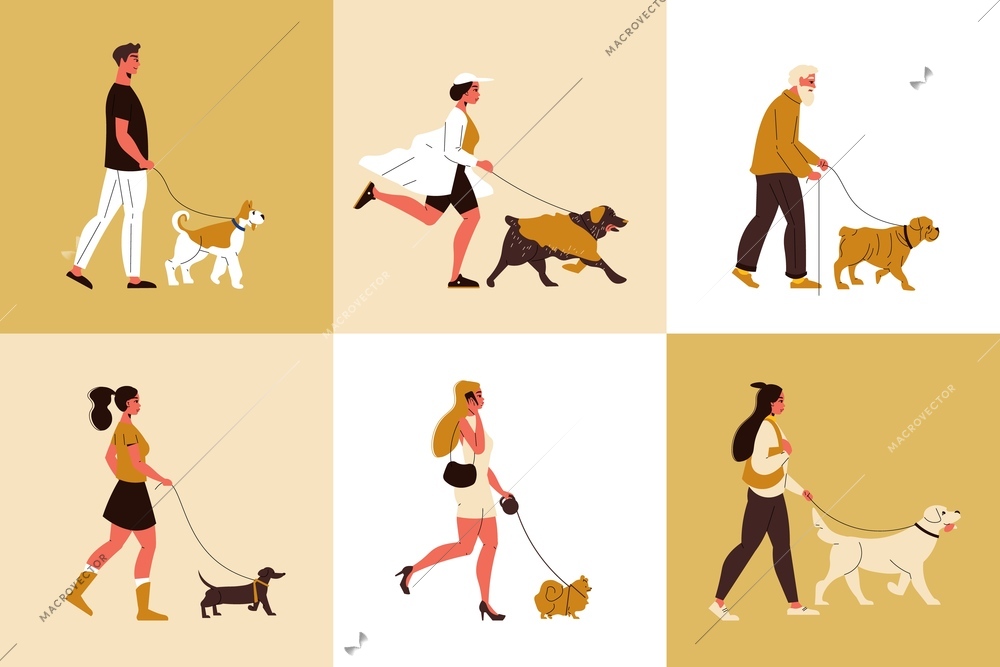 Dog breeds flat design concept with people walking labrador bulldog dachshund spitz terrier and aussie isolated vector illustration