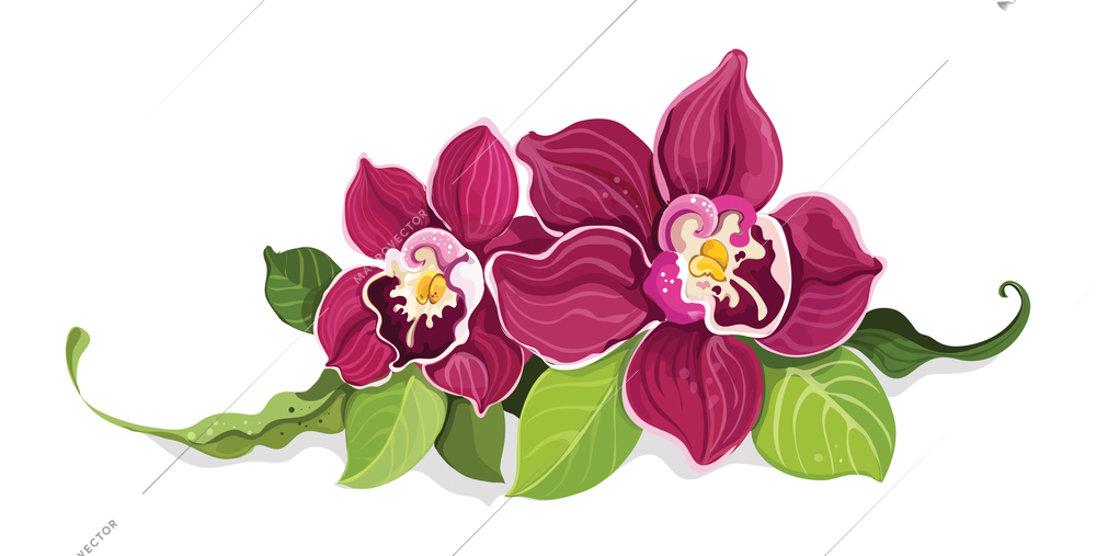 Colorful tropical summer flower garland composition with decorative flowers and leaves vector illustration