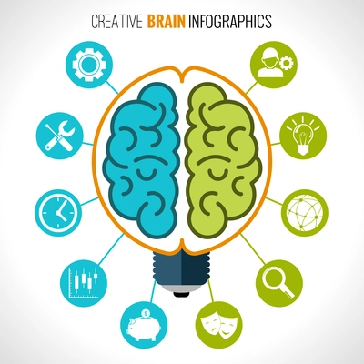 Creative brain infographics set with hemispheres in lightbulb and intelligence and creativity symbols vector illustration