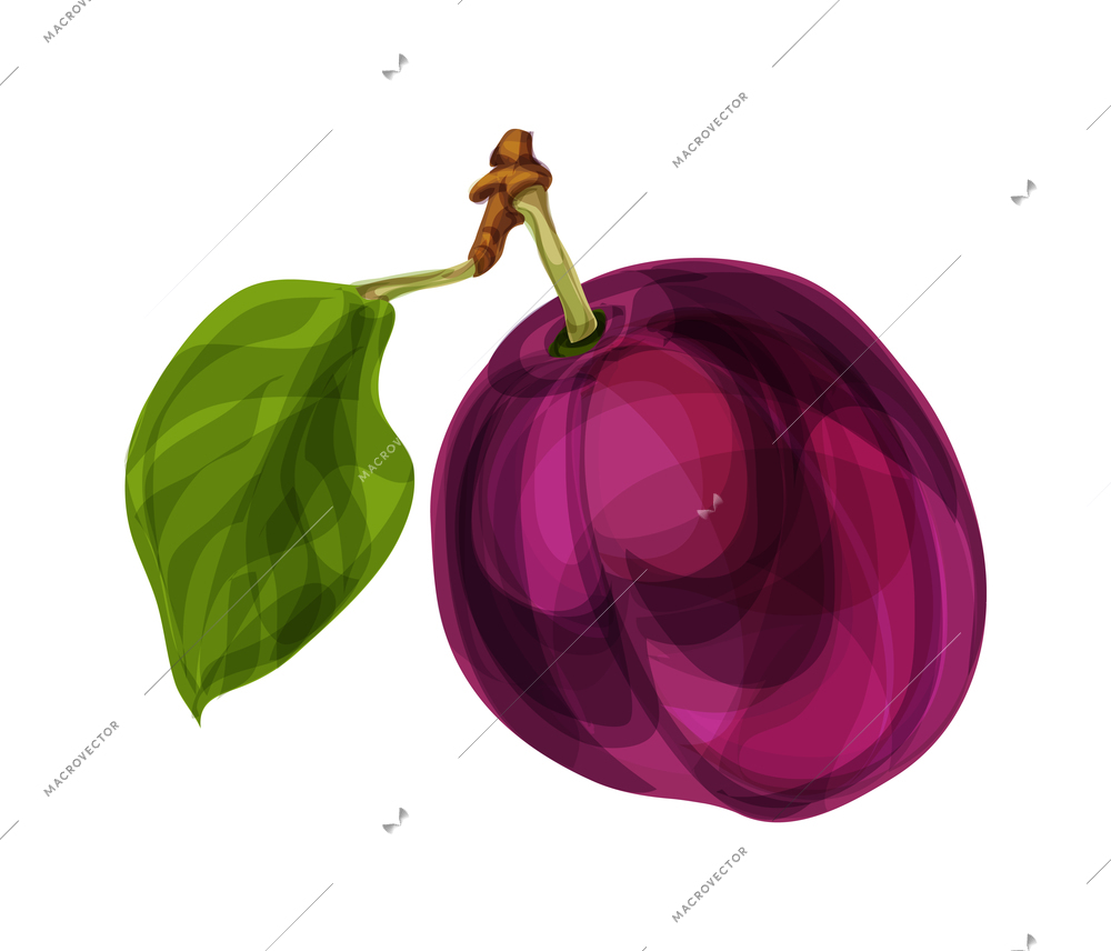 Fruits composition with isolated hand drawn style colored image of ripe fruit vector illustration