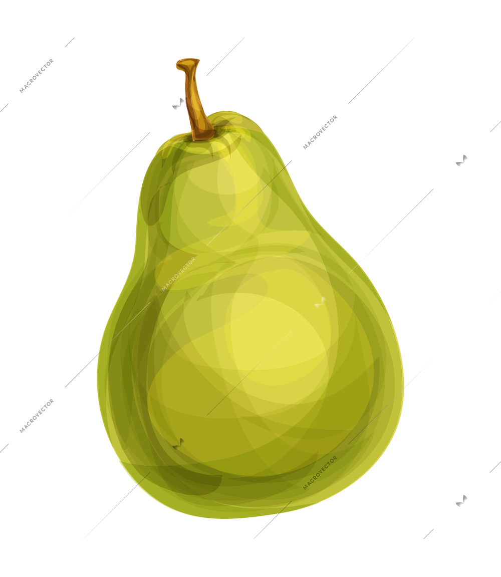 Fruits composition with isolated hand drawn style colored image of ripe fruit vector illustration