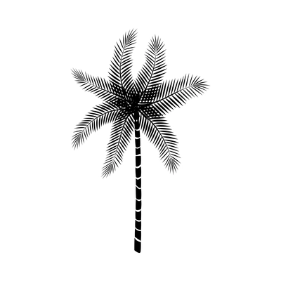 Palm tree composition with isolated black and white image of tropical plant on blank background vector illustration