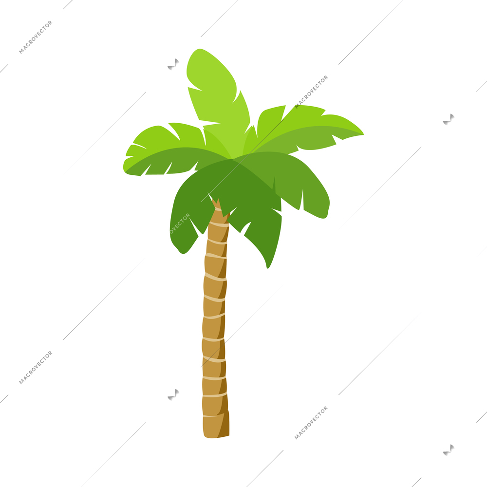 Palm tree composition with isolated image of colorful tropical plant with leaves on blank background vector illustration