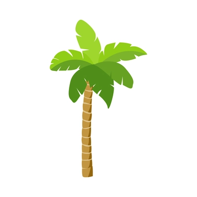 Palm tree composition with isolated image of colorful tropical plant with leaves on blank background vector illustration