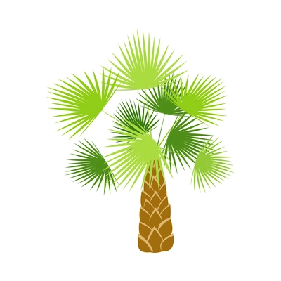 Palm tree composition with isolated image of colorful tropical plant with leaves on blank background vector illustration