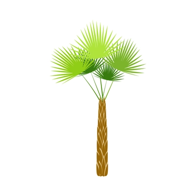 Palm tree composition with isolated image of colorful tropical plant with leaves on blank background vector illustration