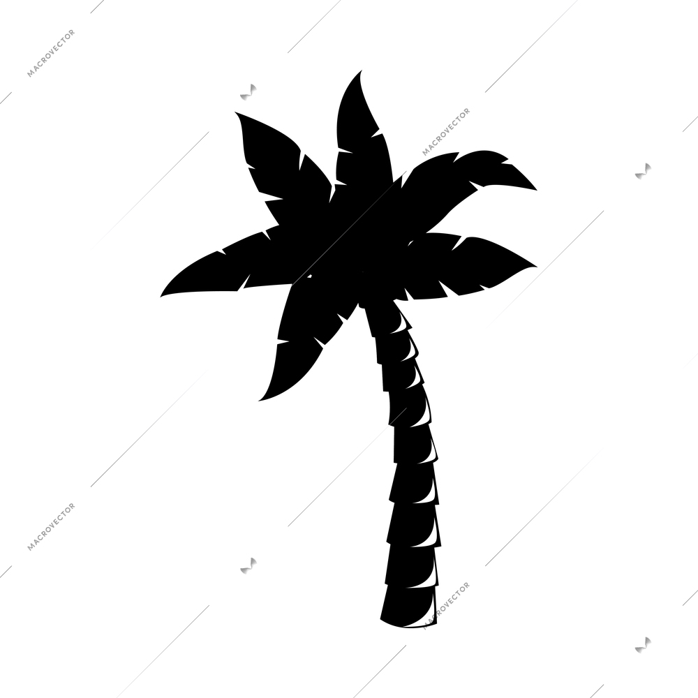 Palm tree composition with isolated black and white image of tropical plant on blank background vector illustration