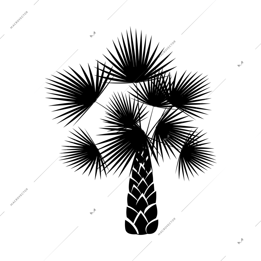 Palm tree composition with isolated black and white image of tropical plant on blank background vector illustration