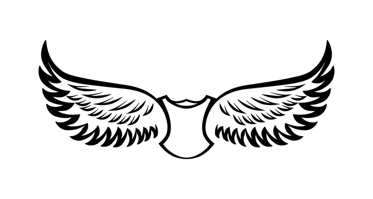 Wings composition with isolated outline shield emblem with two wings on blank background vector illustration