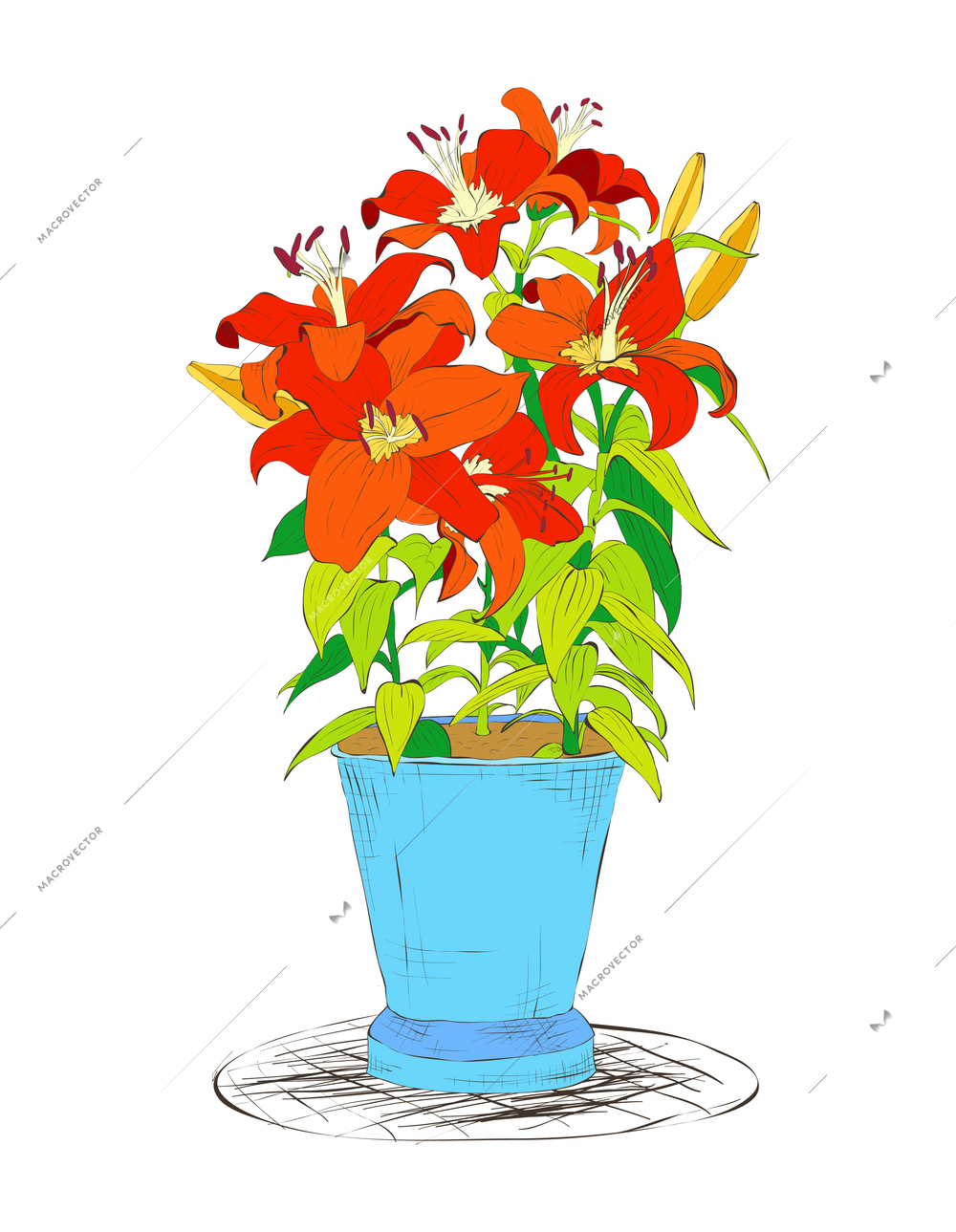 Office plant composition with isolated sketch style image of exotic decorative plant in pot on blank background vector illustration