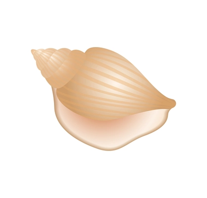 Seashells composition with isolated colorful image on blank background vector illustration