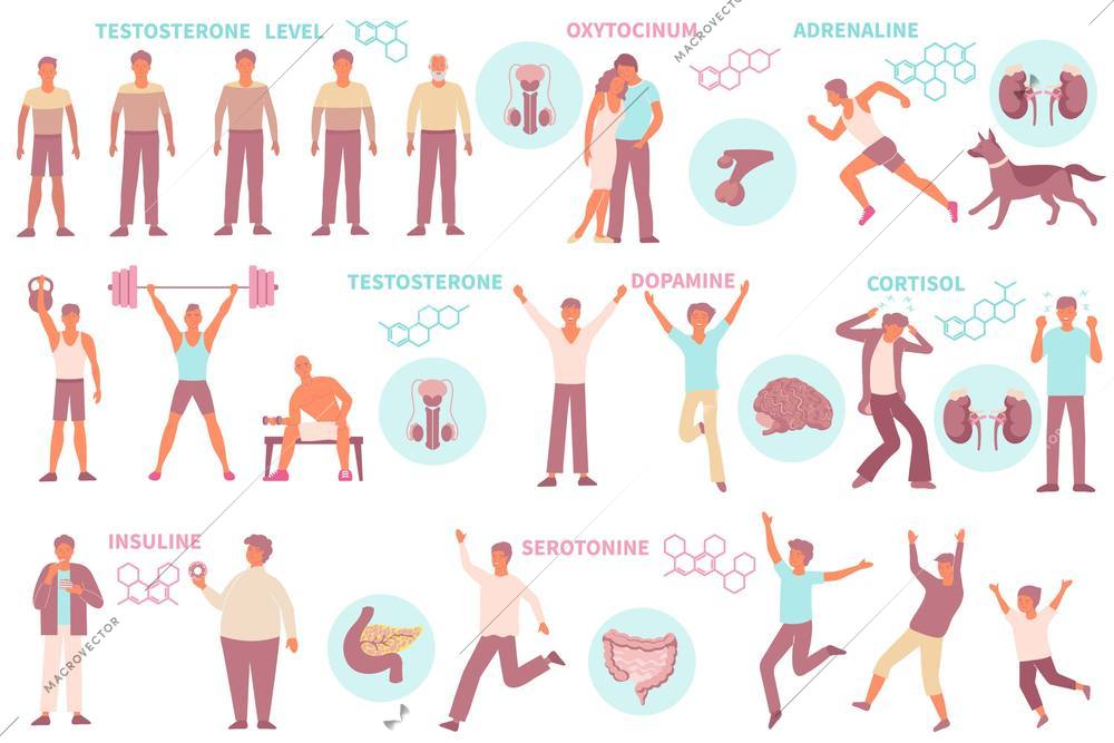 Set of isolated hormones man icons with male human characters various poses text captions molecular structures vector illustration