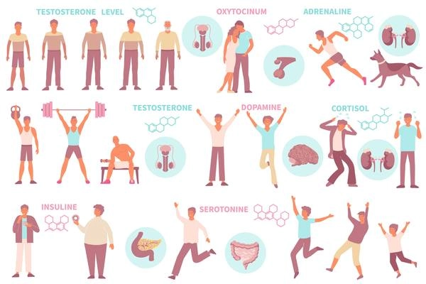 Set of isolated hormones man icons with male human characters various poses text captions molecular structures vector illustration