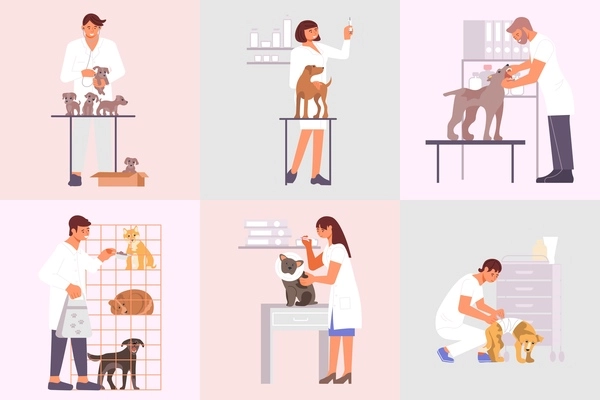 Veterinary clinic compositions set of flat animals and characters of medical specialists taking care of pets vector illustration