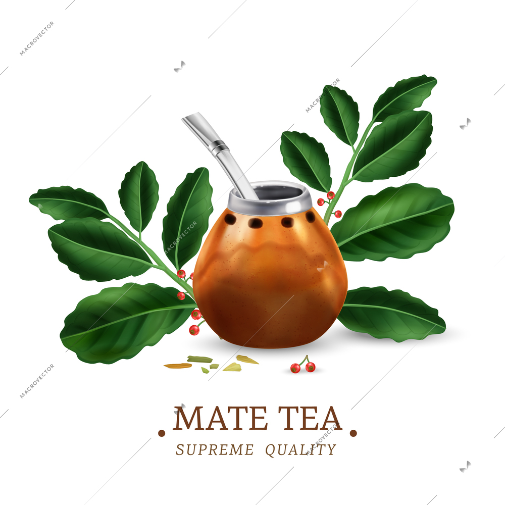 Green mate tea leaves and traditional calabash with bombilla realistic vector illustration