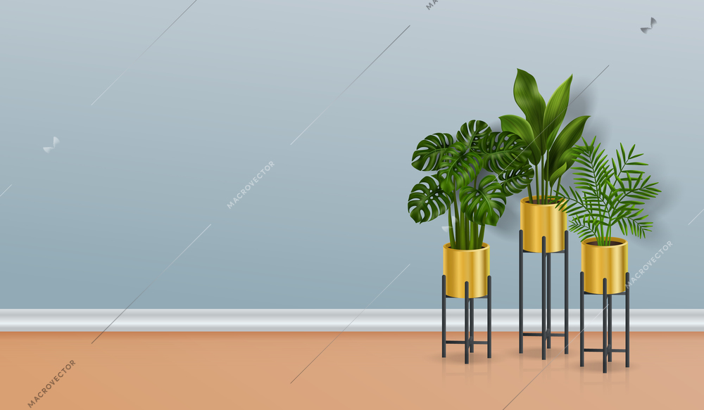 Realistic image of three house plants in pots standing on the floor on a blue background vector illustration