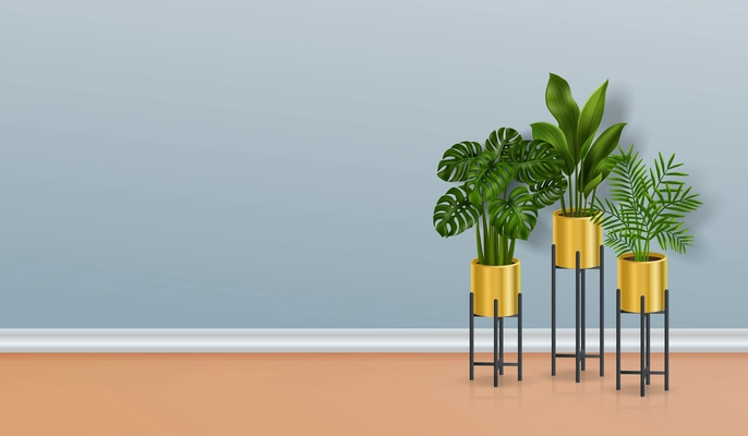 Realistic image of three house plants in pots standing on the floor on a blue background vector illustration