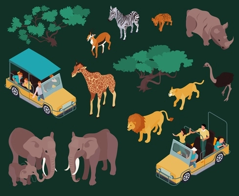 Isometric safari set with isolated icons of wild animals birds and trees with people in car vector illustration