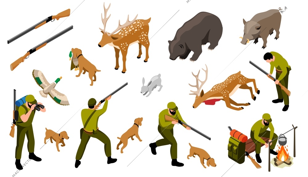 Hunting isometric set of male people in uniform with weapon and dogs and wild animals so as deer bear boar isolated vector illustration