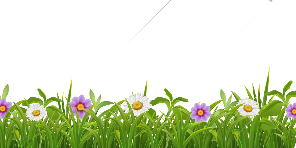 Luscious green grass leaves beautiful flowers natural realistic summer border seamless pattern on white background vector illustration