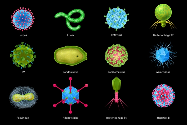 Viruses realistic set with medicine and healthcare symbols isolated vector illustration