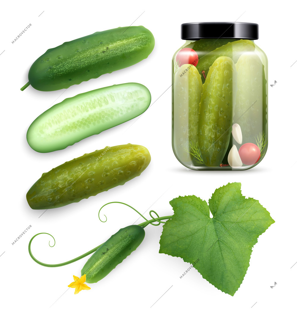 Cucumbers realistic set with isolated images of whole vegetable pickled in glass can with cut half vector illustration