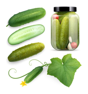 Cucumbers realistic set with isolated images of whole vegetable pickled in glass can with cut half vector illustration