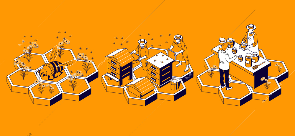 Beekeeping isometric infographics with three isolated images of honeycomb with small human characters hives and flowers vector illustration