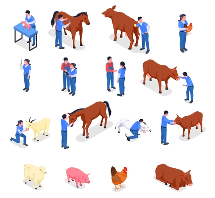 Farm animals veterinary colored isometric icon set with vaccination animal care health checks and various animals vector illustration