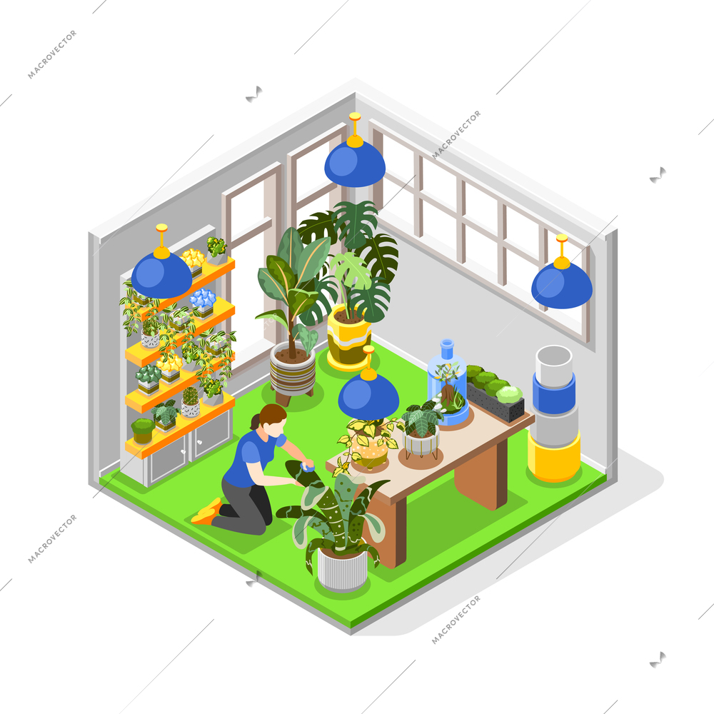 Plants concept with watering gardening and decoration symbols isometric vector illustration