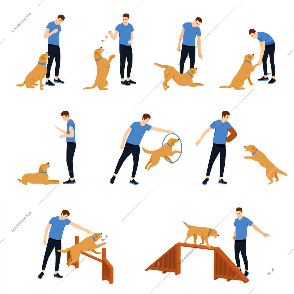 Dog training set of flat isolated icons with male character performing tricks with dog and equipment vector illustration