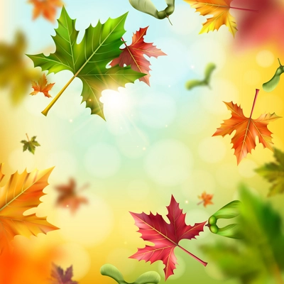 Realistic colorful maple leaves and seeds falling on blurred background vector illustration