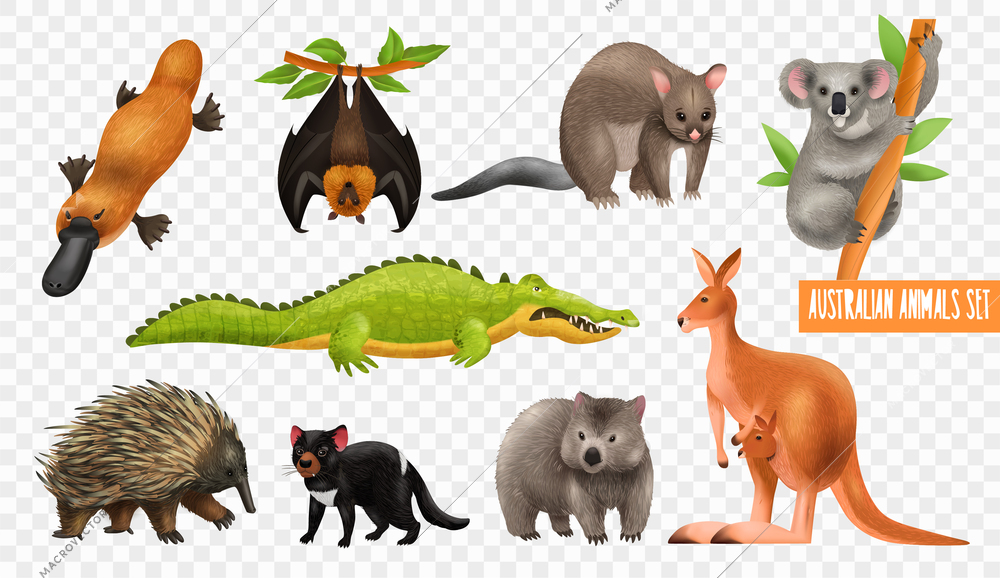 Australian animals set with isolated fauna icons of exotic wild animals on transparent background with text vector illustration