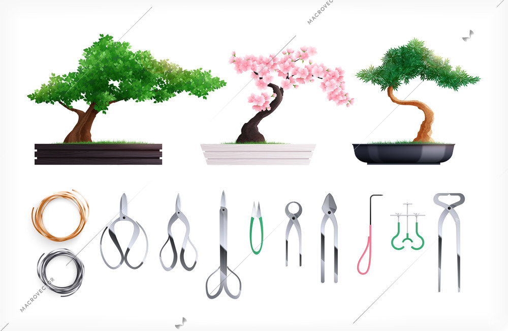 Flat set with three beautiful bonsai trees and various tools for growing at home isolated vector illustration