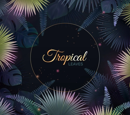 Dark background with realistic tropical leaves of different shape and lights vector illustration