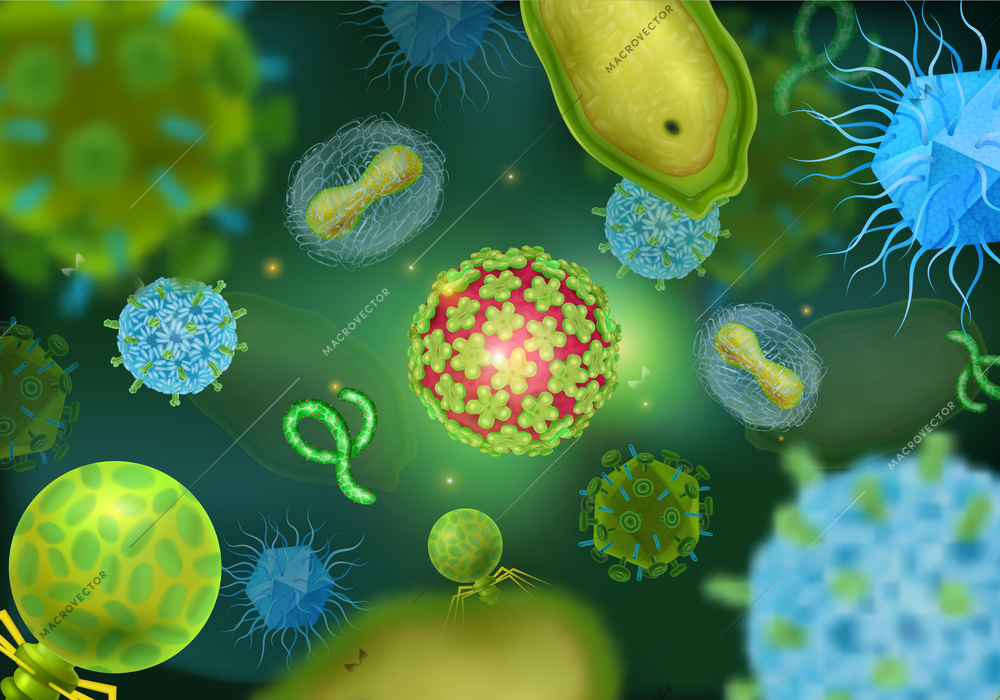 Realistic background with microscopic views of various colorful virus cells vector illustration