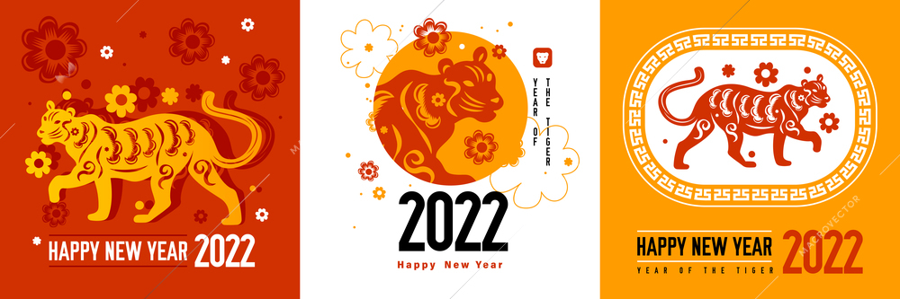 Chinese tiger zodiac sign design concept with three square compositions of editable text and ornate tigers vector illustration