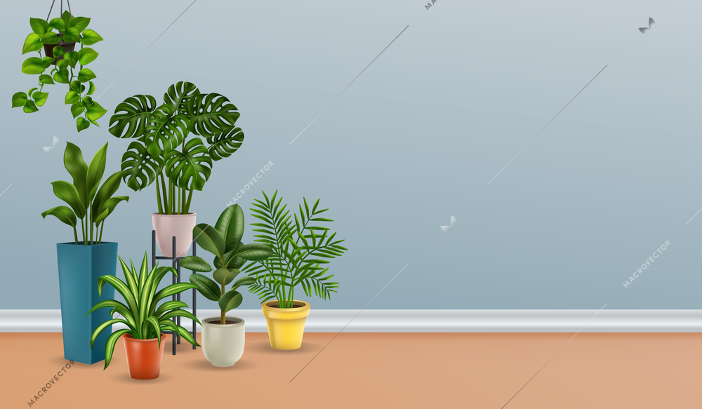 Many house plants put together are shown on the left side of the picture realistic vector illustration